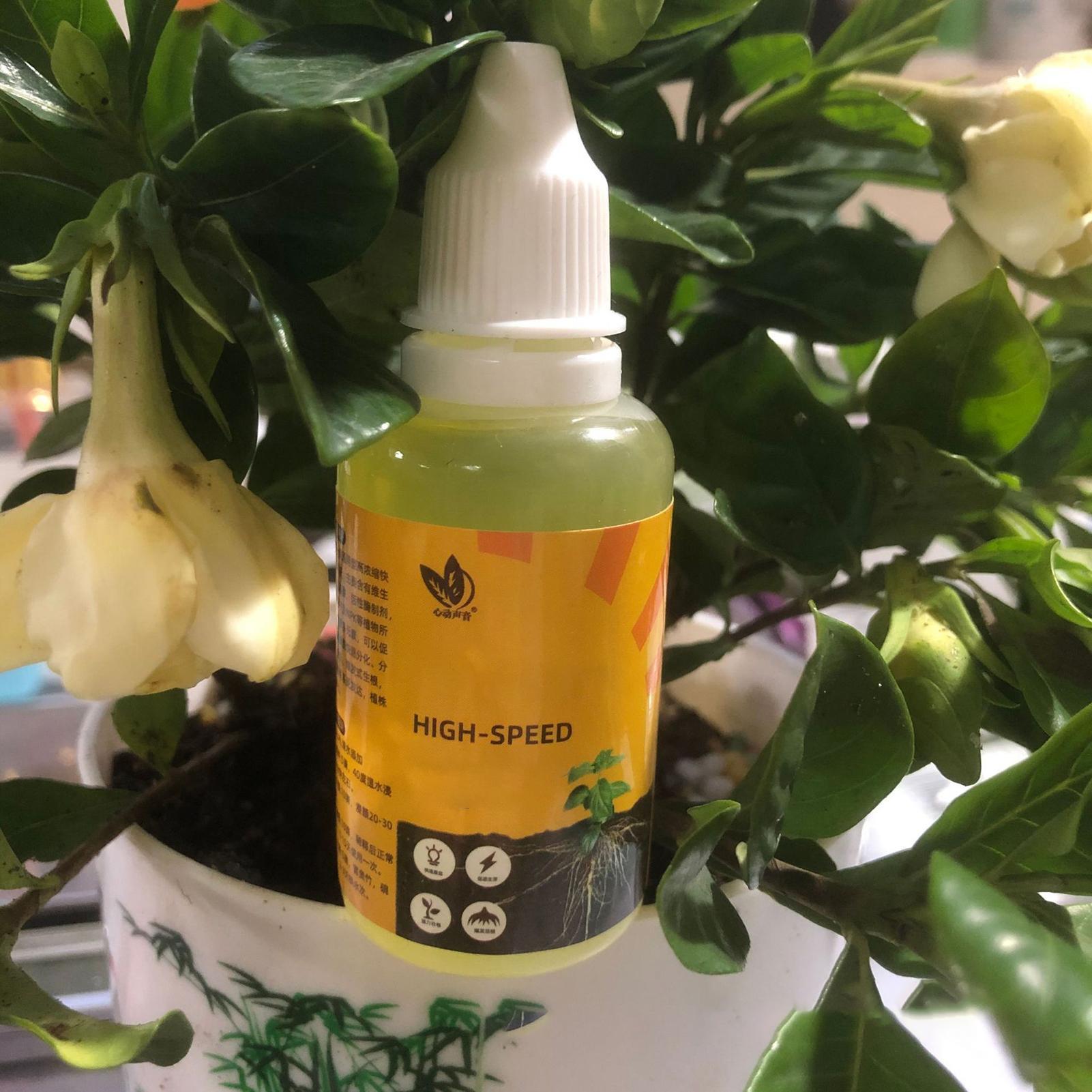 50ml Plant Wroeten Stimulator  - Rooting Hormone Powder recensie en prijs