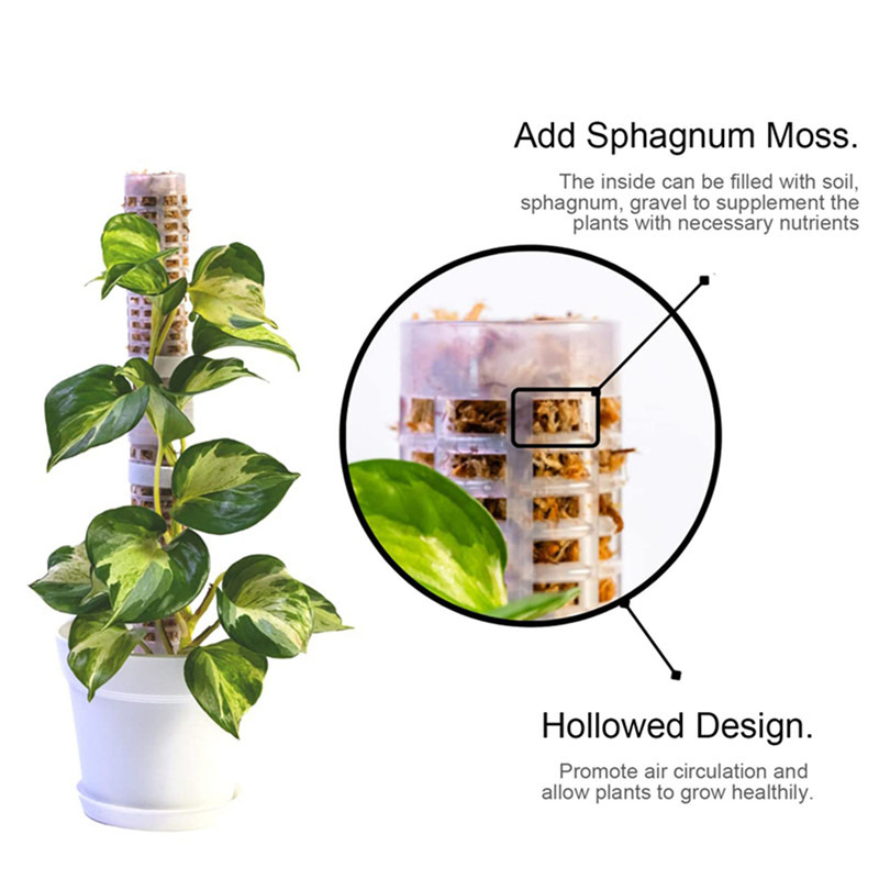 Plantenklimpaal Sphagnummossto - Sphagnum Moss Dry recensie en prijs