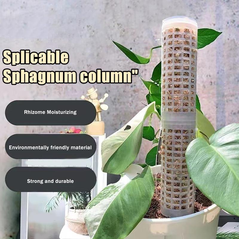 6 stuks mosstokken van plastic - Sphagnum Moss Dry recensie en prijs