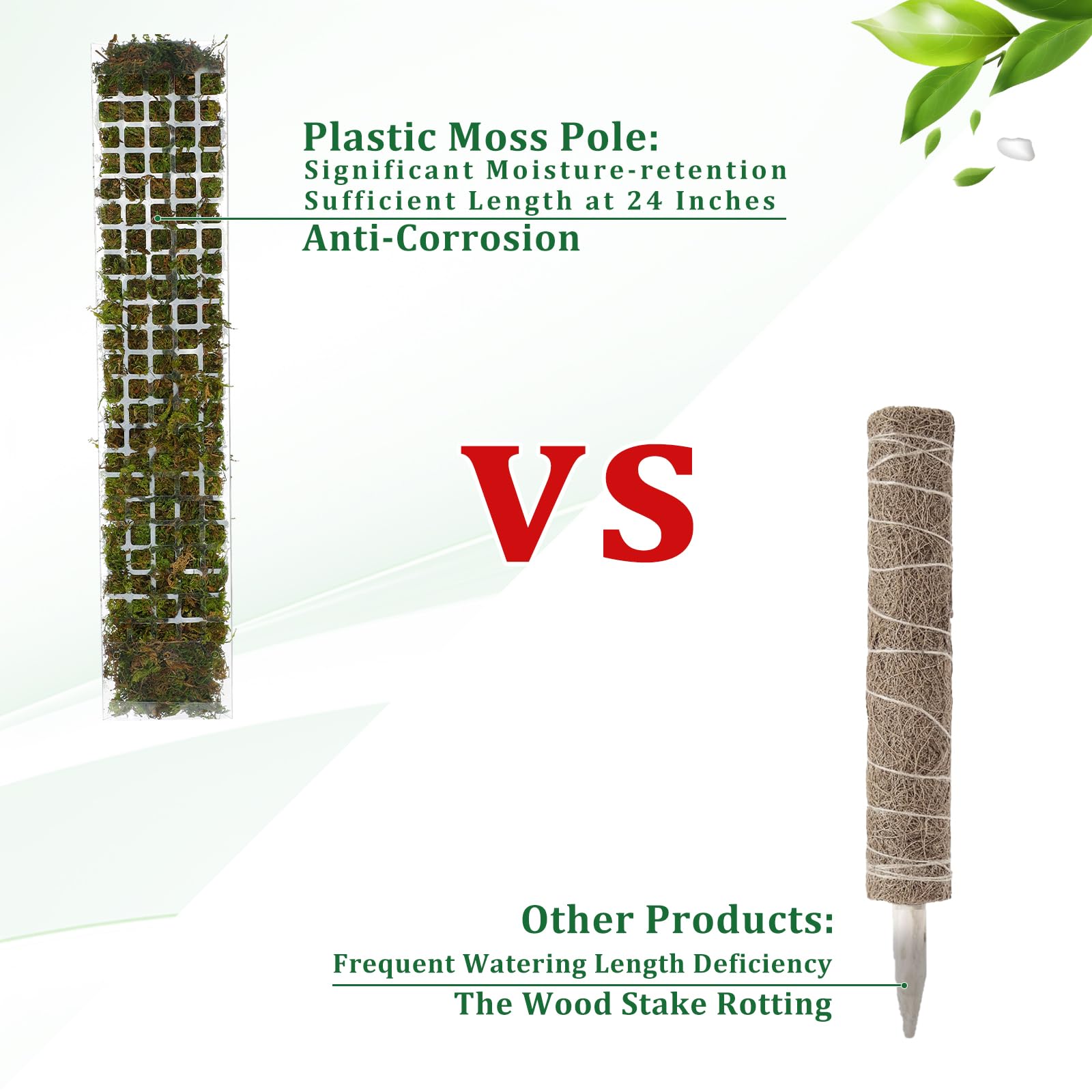 2/4/6 Stuks Mospaal Plastic Pl - Sphagnum Moss Dry recensie en prijs